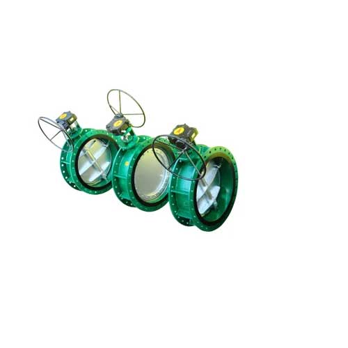 Eccentric Type Butterfly Valve Dealer and Supplier in Chennai